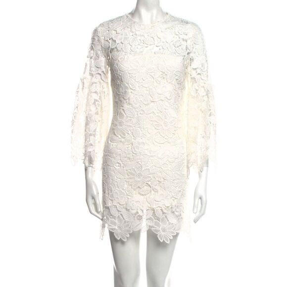 Alexis lace mini dress, XS - Picture 1 of 12